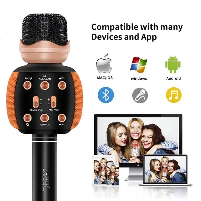 Wster WS-2911 Wireless Karaoke